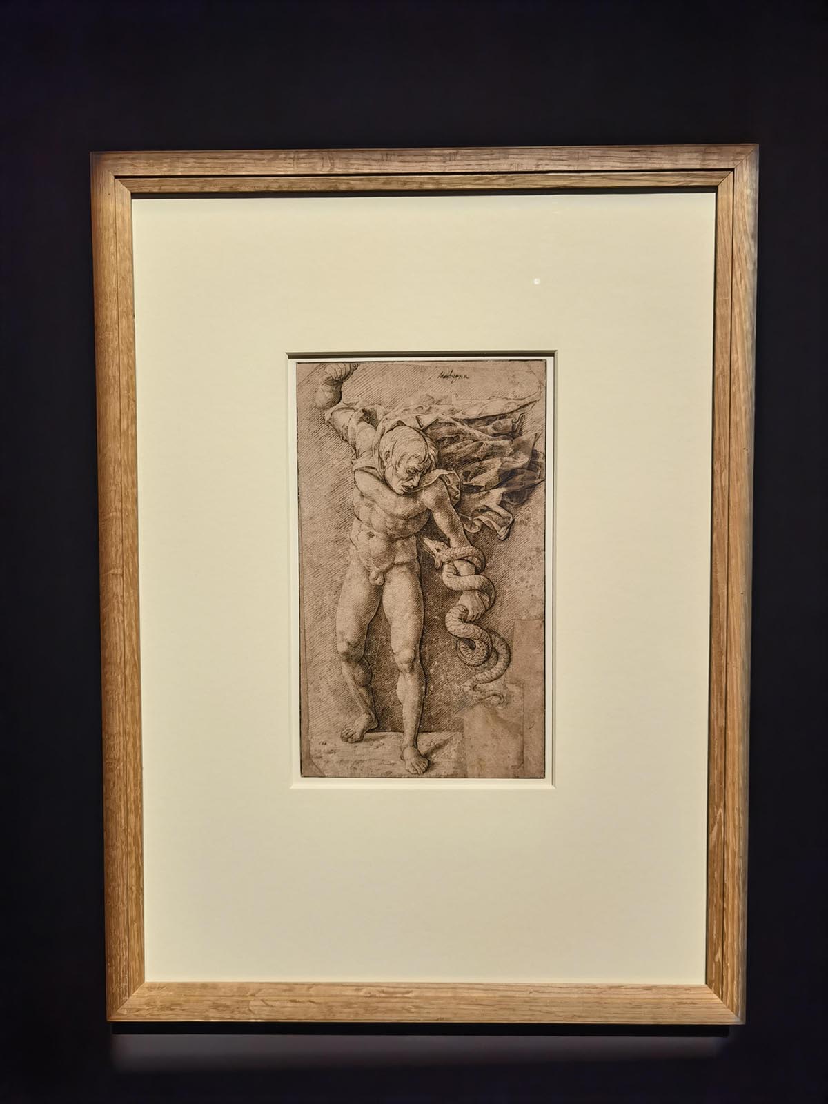 images/art/2021-11-21 意大利文艺复兴纸上绘画/43.jpg